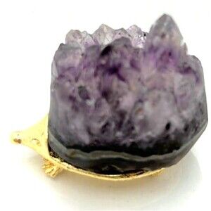 Adorable Amethyst Hedgehog